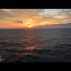 Meet your Posher, Sadie